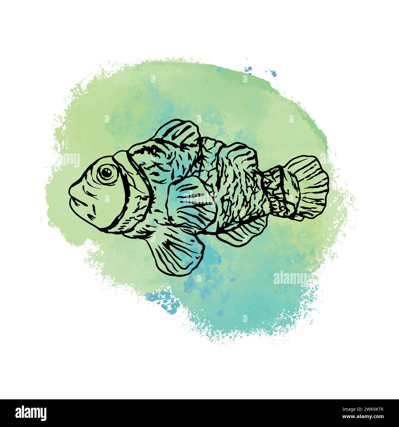 Pesce pagliaccio, arancio con strisce bianche. Amphiprion. Illustrazione vettoriale, macchia marina sullo sfondo. Cartoline, copertine, poster, striscioni, imballaggio, etichette. Illustrazione Vettoriale