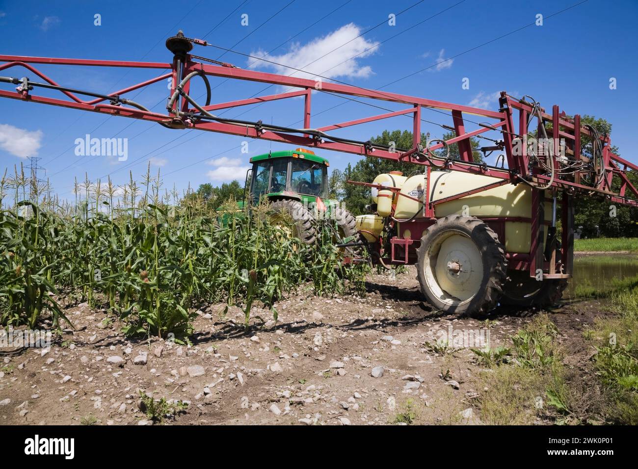 Trattore agricolo verde con irroratrice a braccio per l'applicazione di pesticidi chimici su colture in campi di mais. Foto Stock