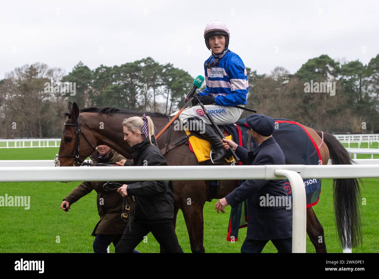 Ascot, Berkshire, Regno Unito. 17 febbraio 2024. Horse PIC D'Orhy guidato da Jockey Harry Cobden, vincitore del concorso Betfair Ascot Steeple Chase al Betfair Ascot Chase Raceday presso l'Ascot Racecourse per la proprietaria, la signora Johnny de la Hey, e l'allenatore Paul Nicholls, Ditcheat. Sponsorizza Morson Group. Crediti: Maureen McLean/Alamy Live News Foto Stock