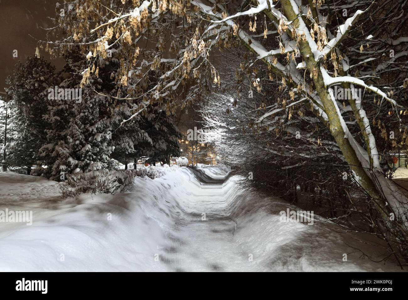 Paesaggio urbano invernale nel parco di Mosca, Russia Foto Stock