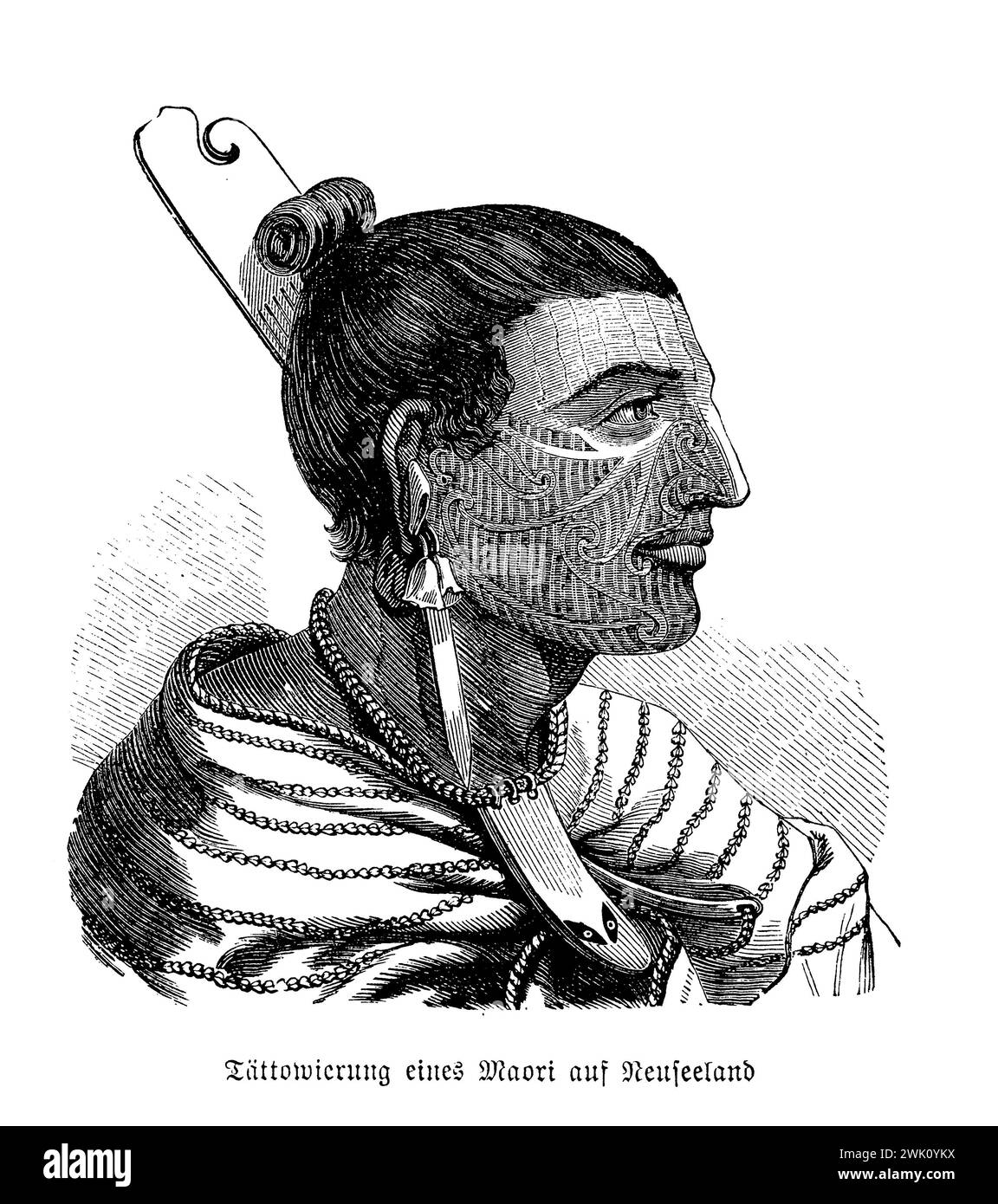 Ritratto della nativa Maori tatuata della nuova Zelanda, illustrazione del XIX secolo Foto Stock