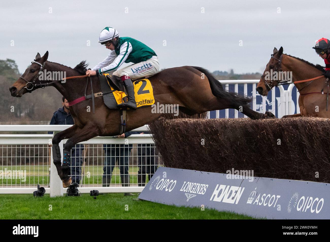 Ascot, Regno Unito. 17 febbraio 2024. L'Homme Presse, guidato dal fantino Charlie Deutsch, sgombra una recinzione nel corso dell'Ascot Steeple Chase di Betfair presso l'Ascot Chase Raceday presso l'Ascot Racecourse per l'allenatrice Venetia Williams, Hereford e Owner DFA Racing (Pink & Edwards). Allevatore Bernard Camp. Sponsor Faucets Limited. Crediti: Maureen McLean/Alamy Live News Foto Stock