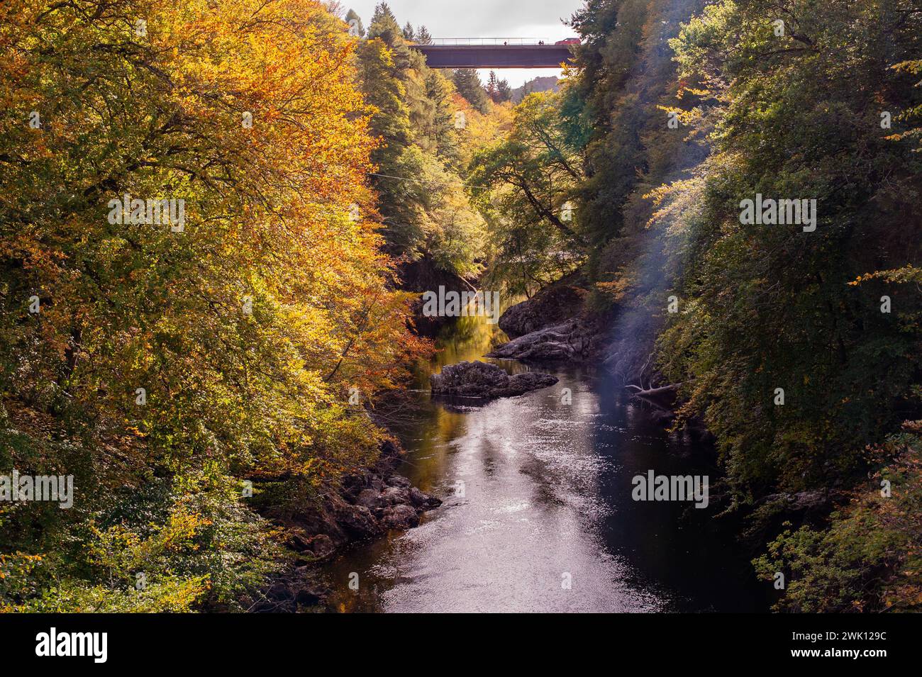 Foresta vista durante l'autunno/autunno nel fiume Tummel, Pitlochry, Scozia. Foto Stock