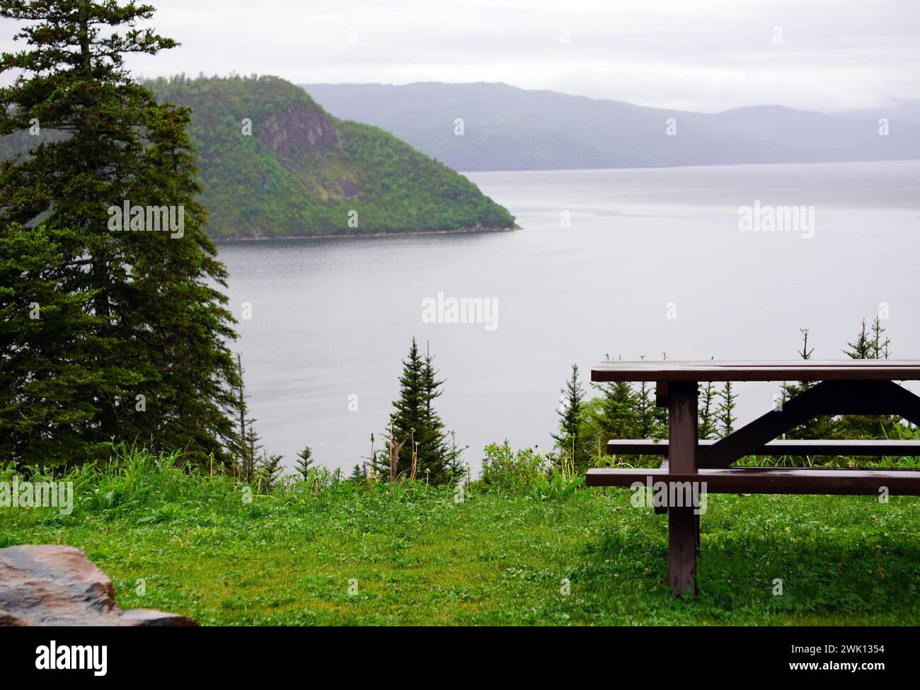 Tavolo da picnic con vista su un fiordo nel Gros Morne National Park con montagne boscose sullo sfondo Foto Stock
