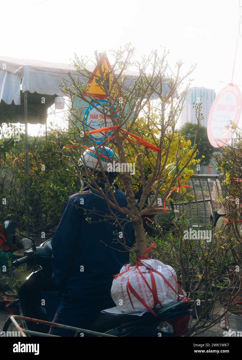 Fiore di consegna in moto per Tet in Vietnam Foto Stock