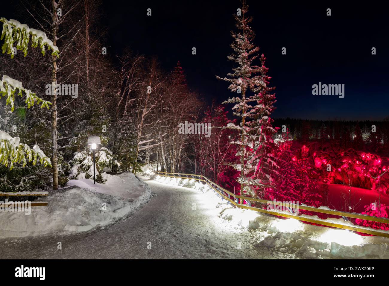 Notte di gennaio sui sentieri del parco di montagna di Ruskeala. Carelia, Russia Foto Stock