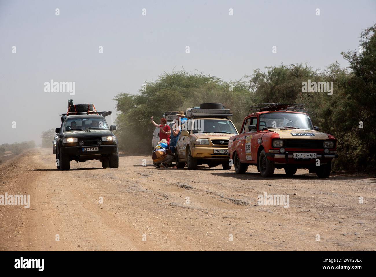 Il team estone chiamato Desperate Housewives ondeggia altri colleghi che guidano attraverso il Parco Nazionale di Diawling, in Mauritania. Il rally amatoriale Budapest-Bamako ha celebrato la quindicesima corsa. È iniziato il 30 gennaio da FES, Marocco, e terminerà il 12 febbraio a Freetown, Sierra Leone. Il percorso originale è stato riorganizzato per ovvi motivi di sicurezza proprio come nella gara Parigi-Dakar, ma allo stesso tempo la distanza è stata estesa. Nel corso degli anni il rally amatoriale Budapest-Bamako è diventato una delle gare più lunghe e impegnative del mondo. Foto Stock