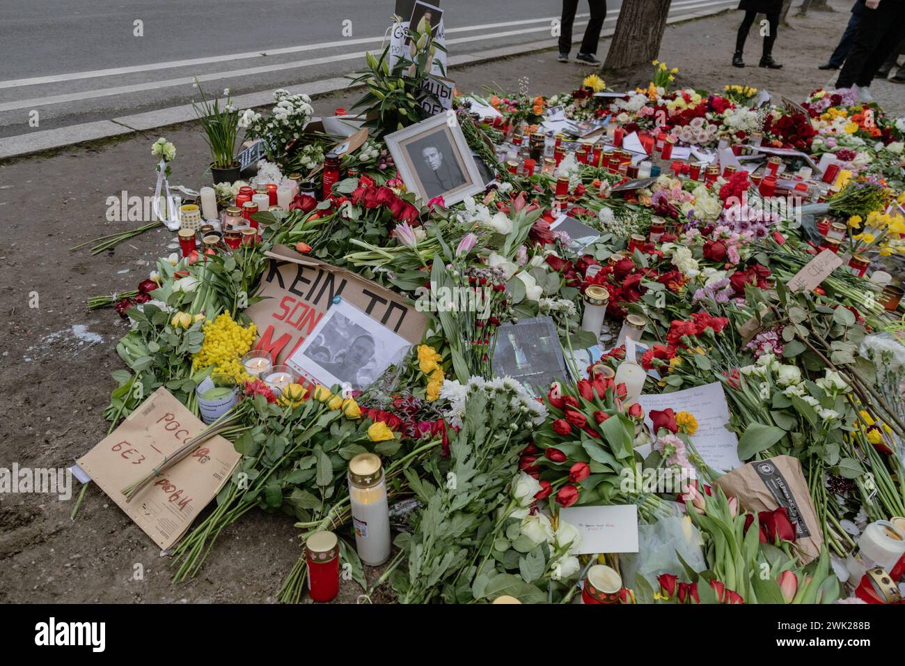 Berlino, Germania. 17 febbraio 2024. Fiori in un memoriale improvvisato di fronte all'ambasciata russa a Berlino dopo la morte del leader dell'opposizione russa Alexey Navalny. (Foto di Nicholas Muller/SOPA Images/Sipa USA) credito: SIPA USA/Alamy Live News Foto Stock
