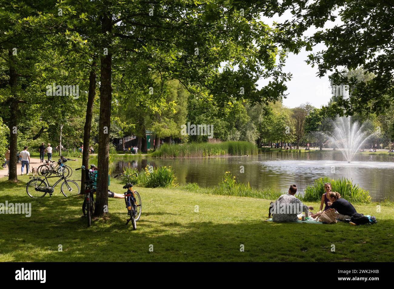 I residenti e i turisti apprezzano il bel tempo su un prato vicino all'acqua nel Vondelpark di Amsterdam. Foto Stock