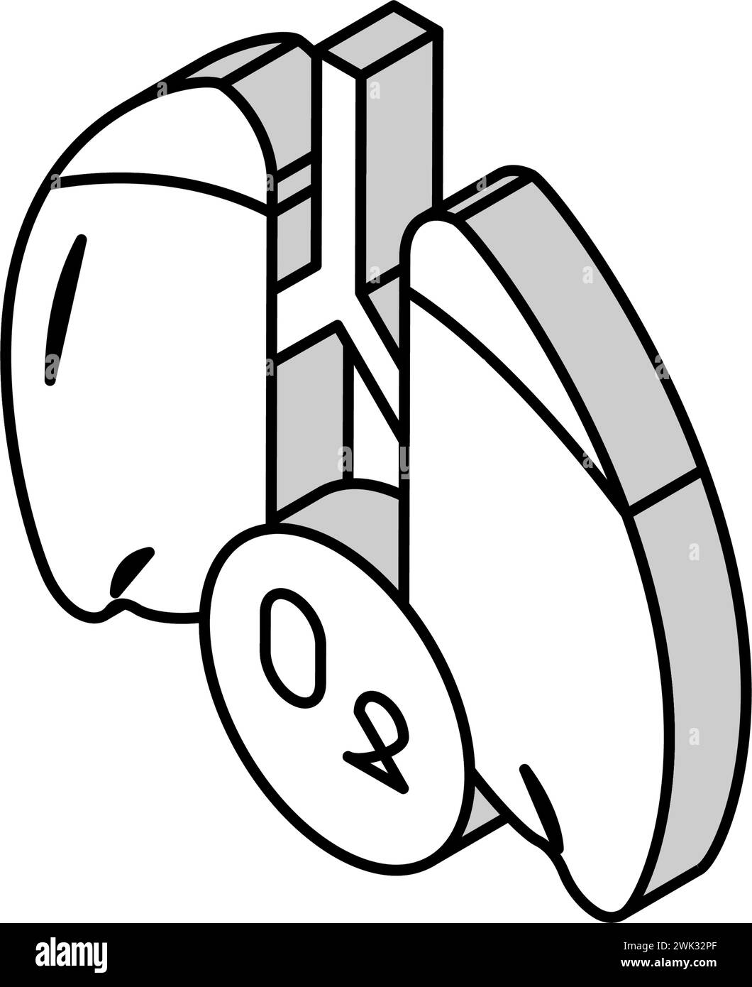 illustrazione del vettore dell'icona isometrica dei polmoni Illustrazione Vettoriale