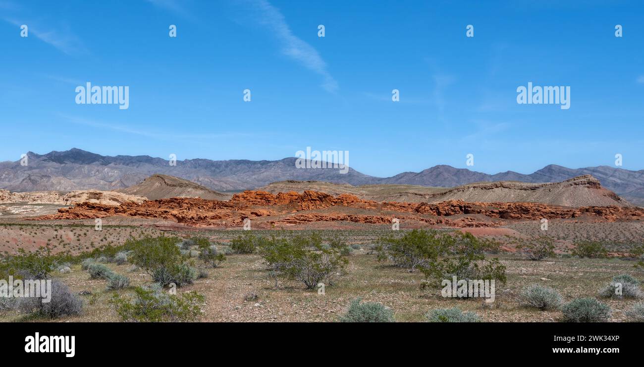 Monumento nazionale Gold Butte, vicino a Bunkerville, Nevada. Foto Stock