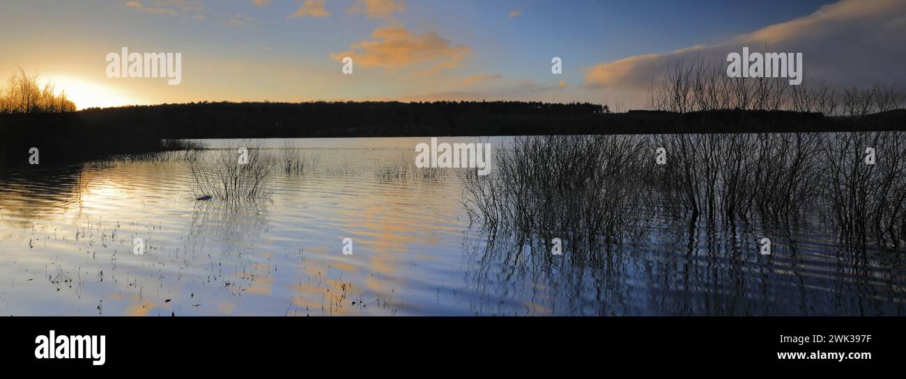 Vista autunnale sul lago artificiale Swinsty nella valle di Washburn a ovest di Harrogate, Yorkshire Dales National Park, Inghilterra, Regno Unito Foto Stock