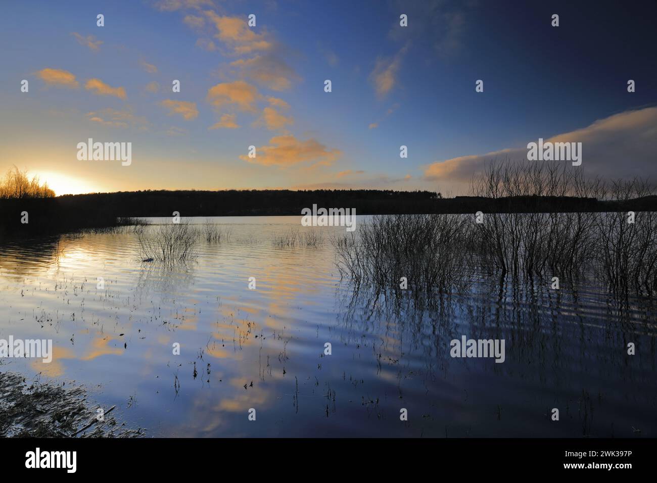 Vista autunnale sul lago artificiale Swinsty nella valle di Washburn a ovest di Harrogate, Yorkshire Dales National Park, Inghilterra, Regno Unito Foto Stock