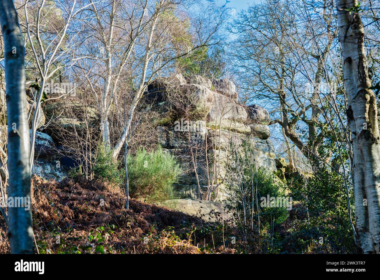 Eridge Sandstone Rocks nell'East Sussex, che hanno milioni di anni, vicino a Royal Tunbridge Wells, Inghilterra Foto Stock