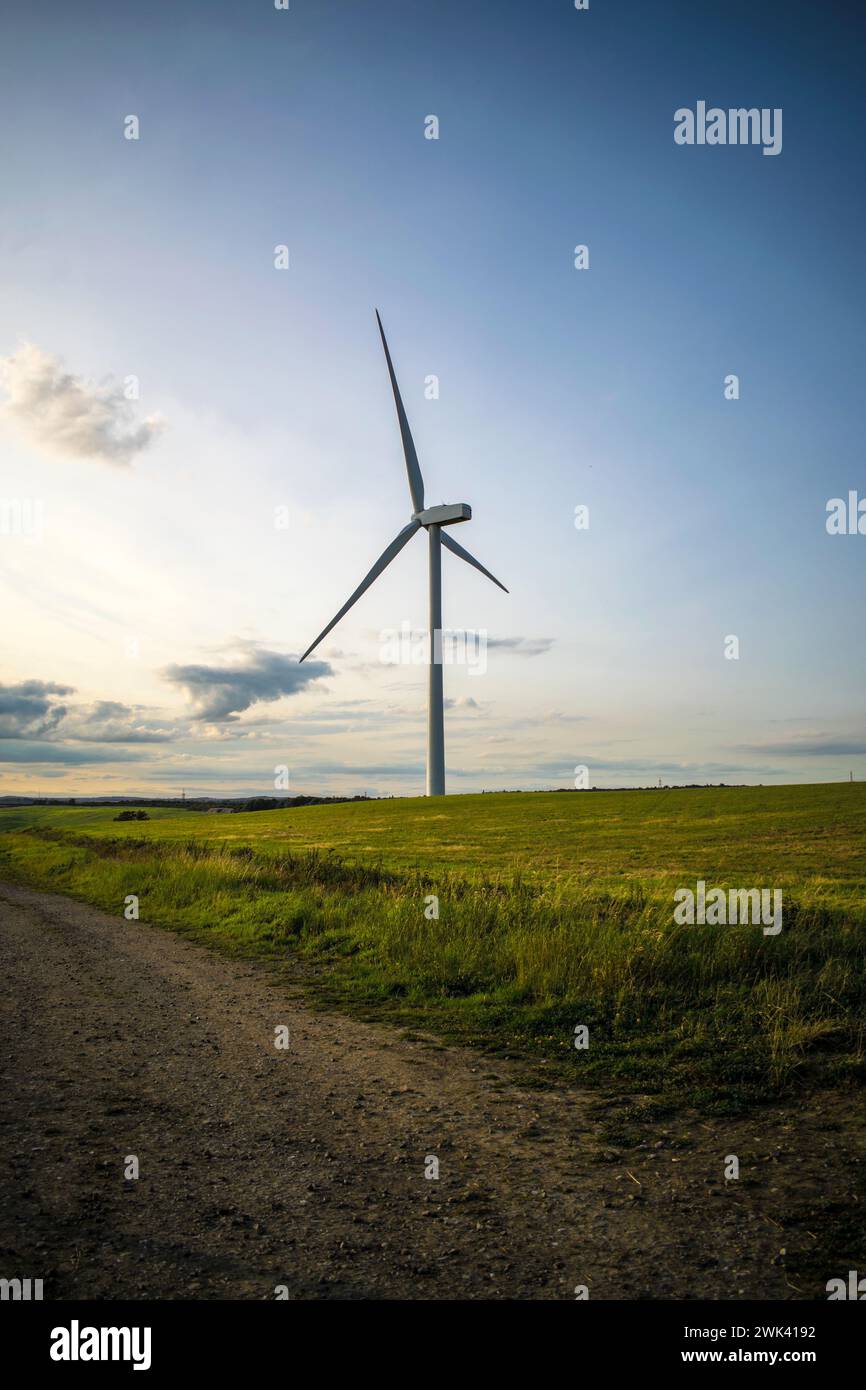 Una turbina eolica solitaria è orgogliosa nel suo campo Foto Stock
