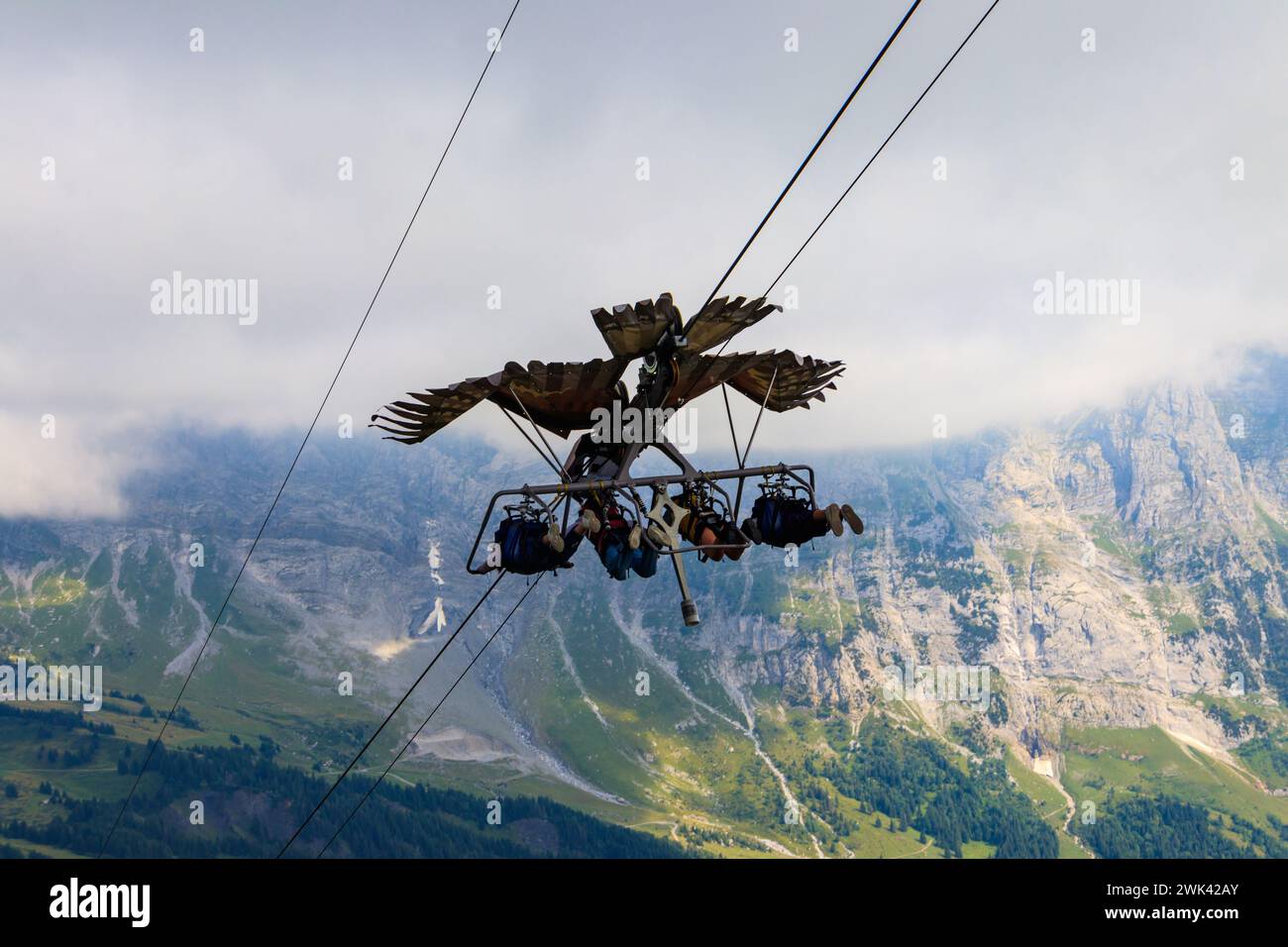 Grindelwald prima attività di picco - First Glider, Svizzera. Volare con un uccello di preda, attrazione turistica Foto Stock