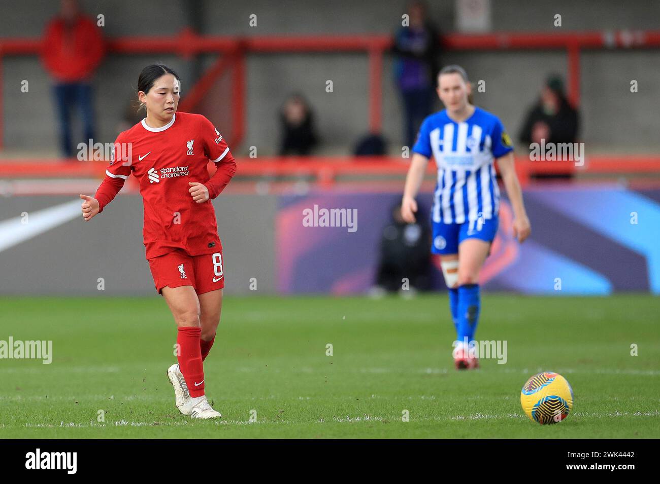 Crawley, Regno Unito. 18 febbraio 2024. Fuka Nagano di Liverpool Women passa il pallone durante la partita di fa Women's Super League tra Brighton & Hove Albion Women e Liverpool Women al Broadfield Stadium di Crawley, Inghilterra, il 18 febbraio 2024. Foto di Carlton Myrie. Solo per uso editoriale, licenza richiesta per uso commerciale. Non utilizzare in scommesse, giochi o pubblicazioni di singoli club/campionato/giocatori. Crediti: UK Sports Pics Ltd/Alamy Live News Foto Stock