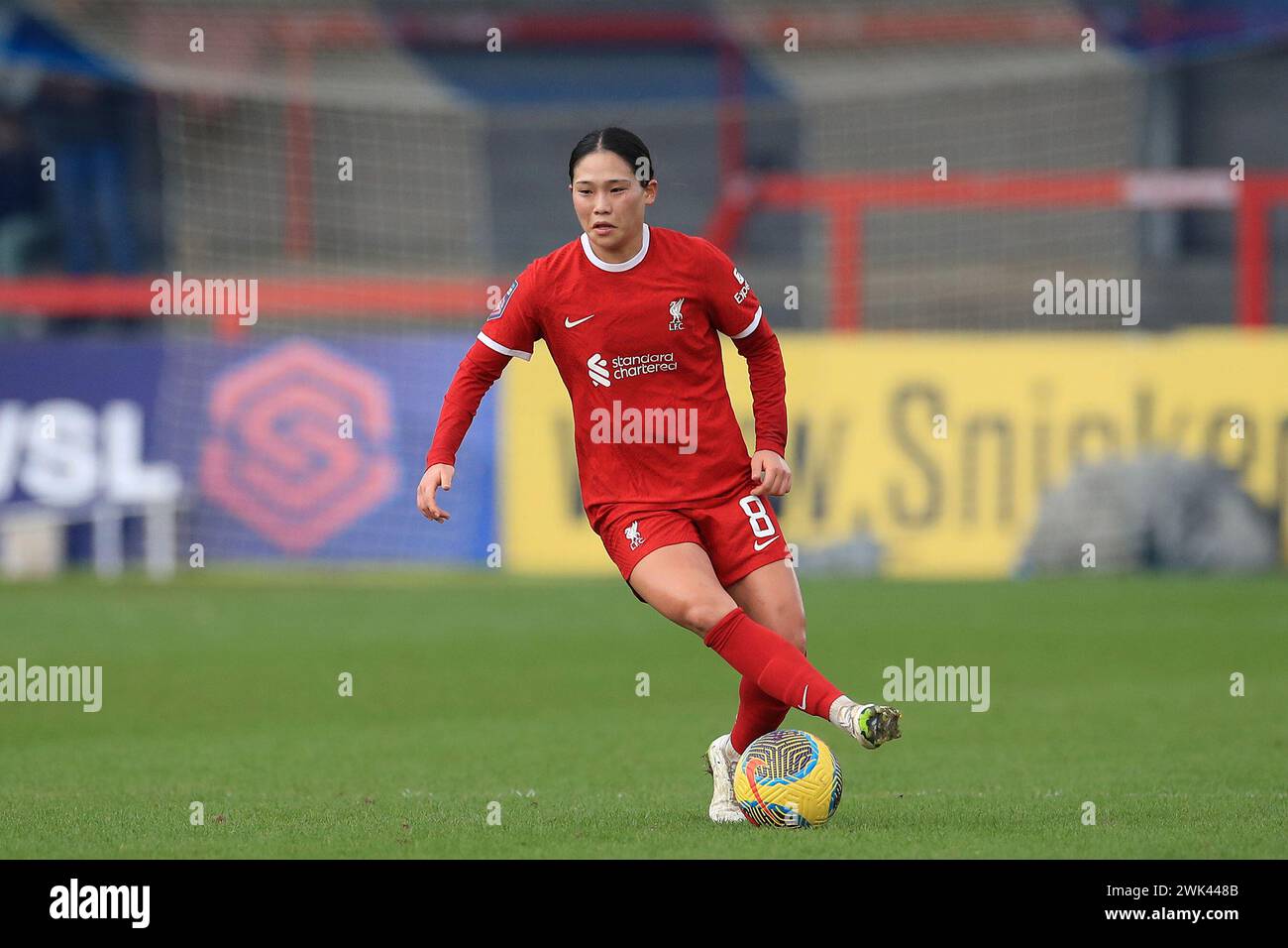 Crawley, Regno Unito. 18 febbraio 2024. Fuka Nagano di Liverpool Women on the ball durante la partita di fa Women's Super League tra Brighton & Hove Albion Women e Liverpool Women al Broadfield Stadium di Crawley, Inghilterra, il 18 febbraio 2024. Foto di Carlton Myrie. Solo per uso editoriale, licenza richiesta per uso commerciale. Non utilizzare in scommesse, giochi o pubblicazioni di singoli club/campionato/giocatori. Crediti: UK Sports Pics Ltd/Alamy Live News Foto Stock