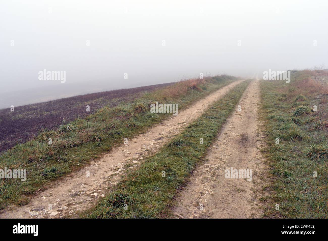 Paesaggio di una strada rurale in inverno con nebbia Foto Stock