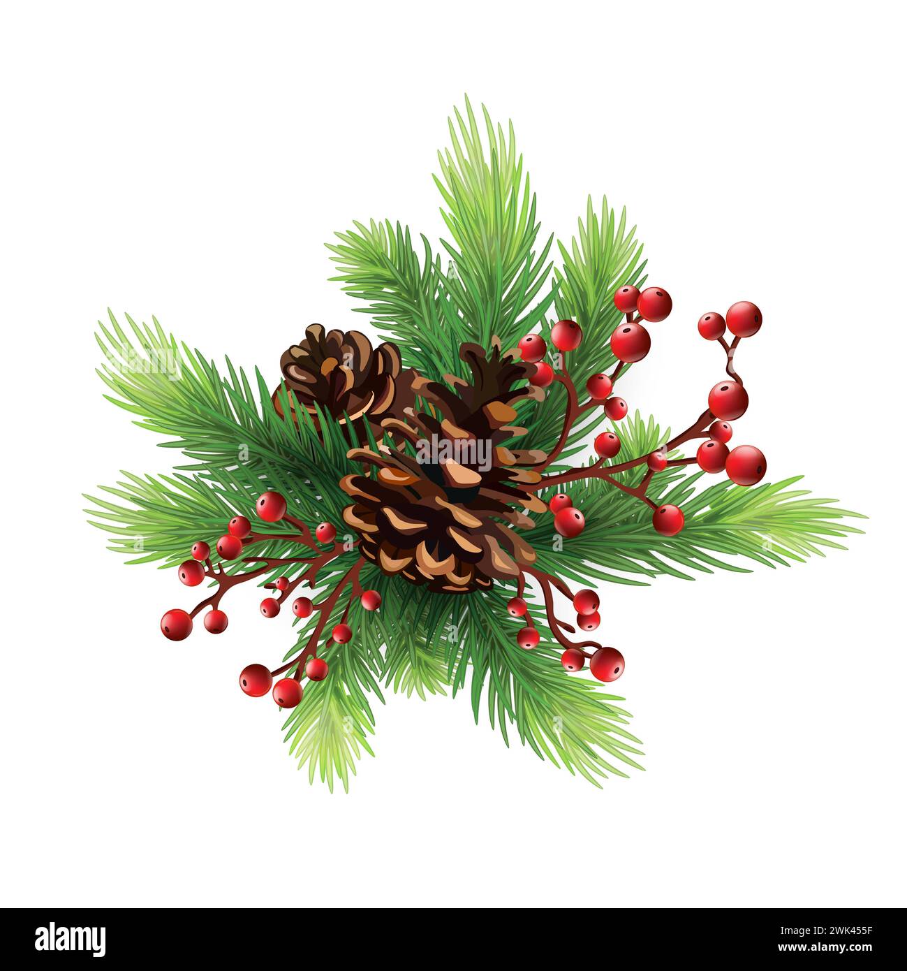 Illustrazione botanica decorativa per il design, albero di Natale. Modello biglietto di auguri con rami di pino. per biglietti di natale, striscioni, volantini, par Foto Stock