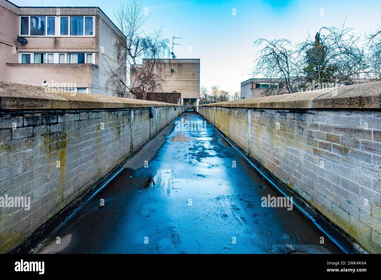 Il cielo blu si riflette in un percorso bagnato in cemento che conduce attraverso la tenuta Ward Royal a Windsor, Berkshire, Regno Unito Foto Stock