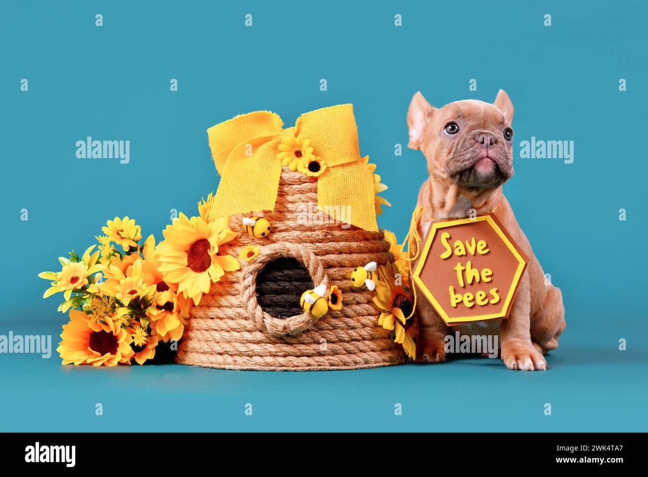 Cucciolo di cane Bulldog francese Fawn con il cartello "Save the Bees" accanto all'alveare e fiori su sfondo azzurro Foto Stock