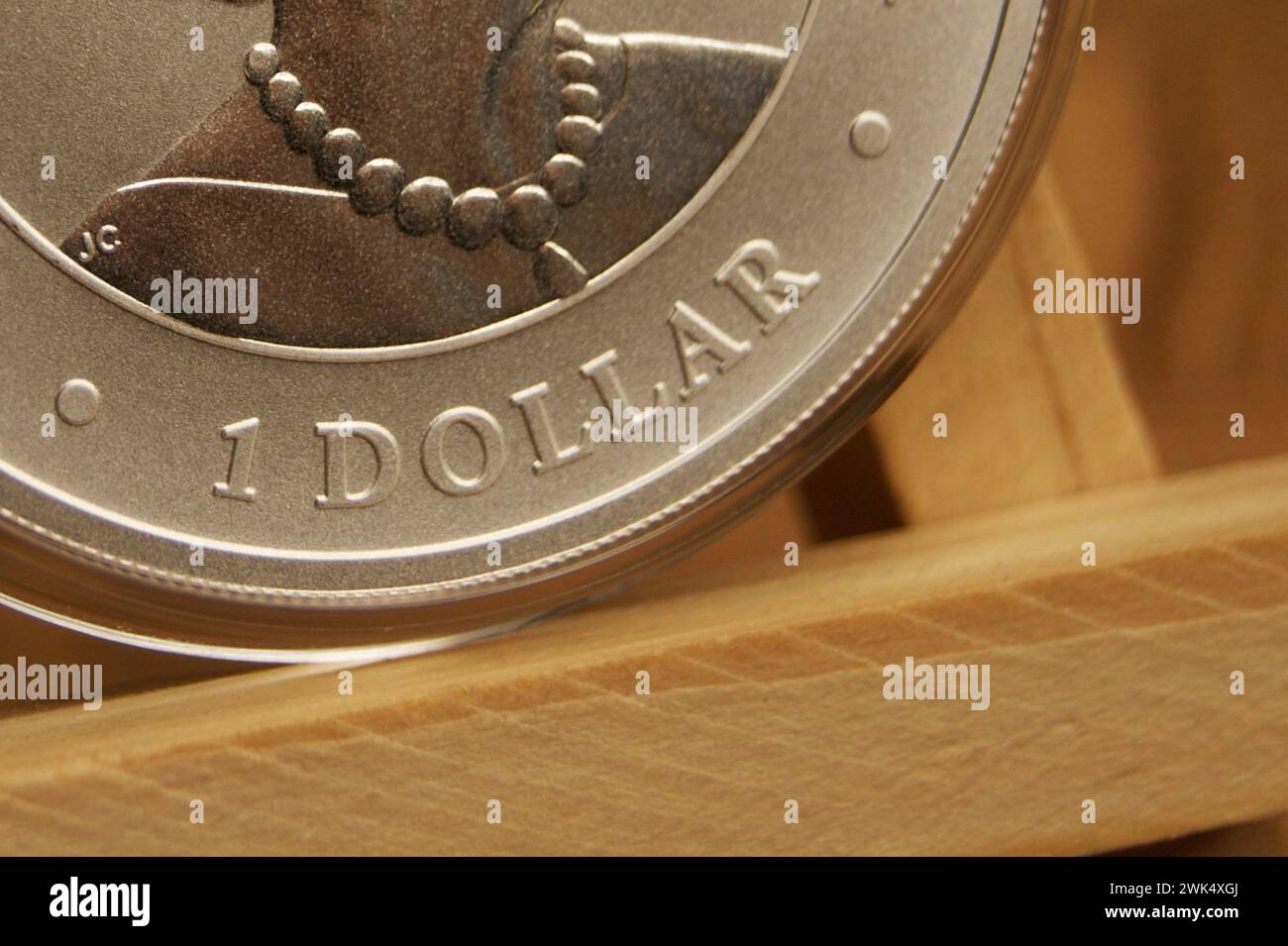 Frammento di una moneta d'argento australiana. primo piano di un dollaro Foto Stock