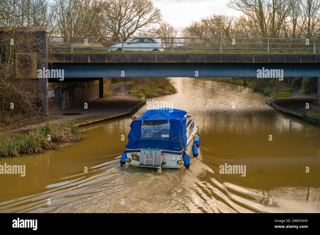 Barca sulla navigazione Chelmar e Blackwater vicino a Beeleigh Lock Foto Stock