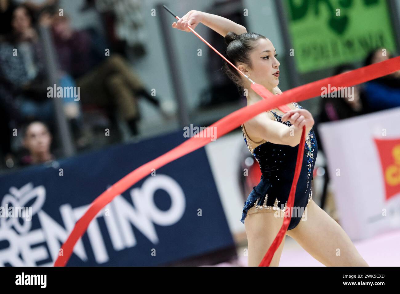 Chieti, Italia. 17 febbraio 2024. La ginnasta ritmica italiana Gaia Mancini si esibisce per la squadra Udinese durante la ginnastica ritmica FGI 2024 regular season serie A1 1° round al Palatricalle Chieti. Primo round stagionale regolare dei Campionati Italiani di ginnastica ritmica 2024 a Chieti, Italia crediti: SOPA Images Limited/Alamy Live News Foto Stock