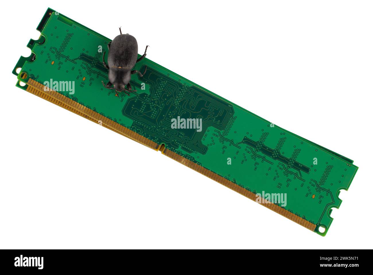 Bug sulla scheda di memoria del PC. Concetto di errore del computer. Isolato su sfondo bianco. Foto Stock