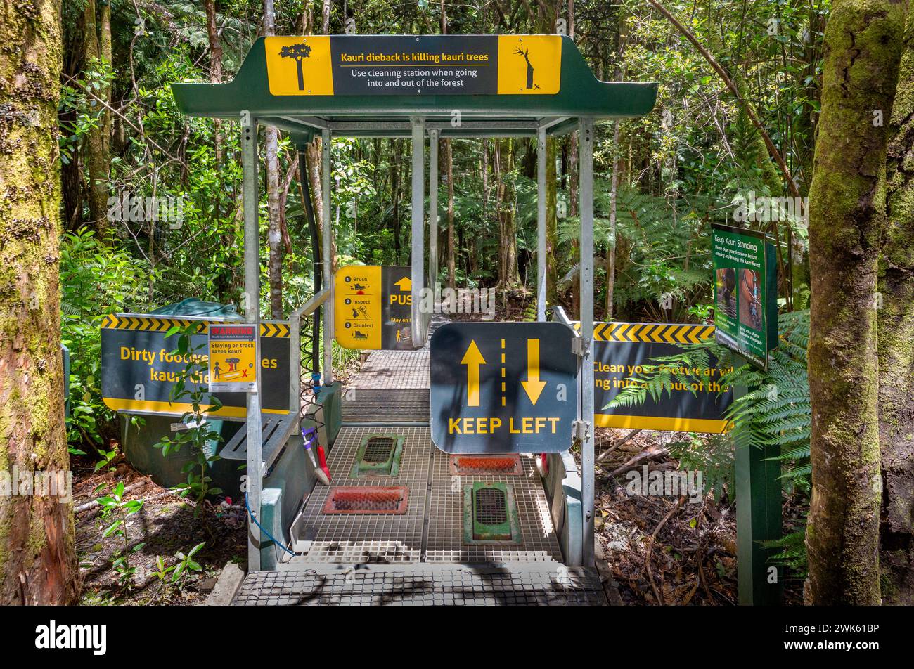 Stazione di pulizia delle calzature per aiutare a prevenire la diffusione della malattia del dieback nel Trounson Kauri Park, te Tai Tokerau / regione del Northland, te Ika-a-Maui / NOR Foto Stock