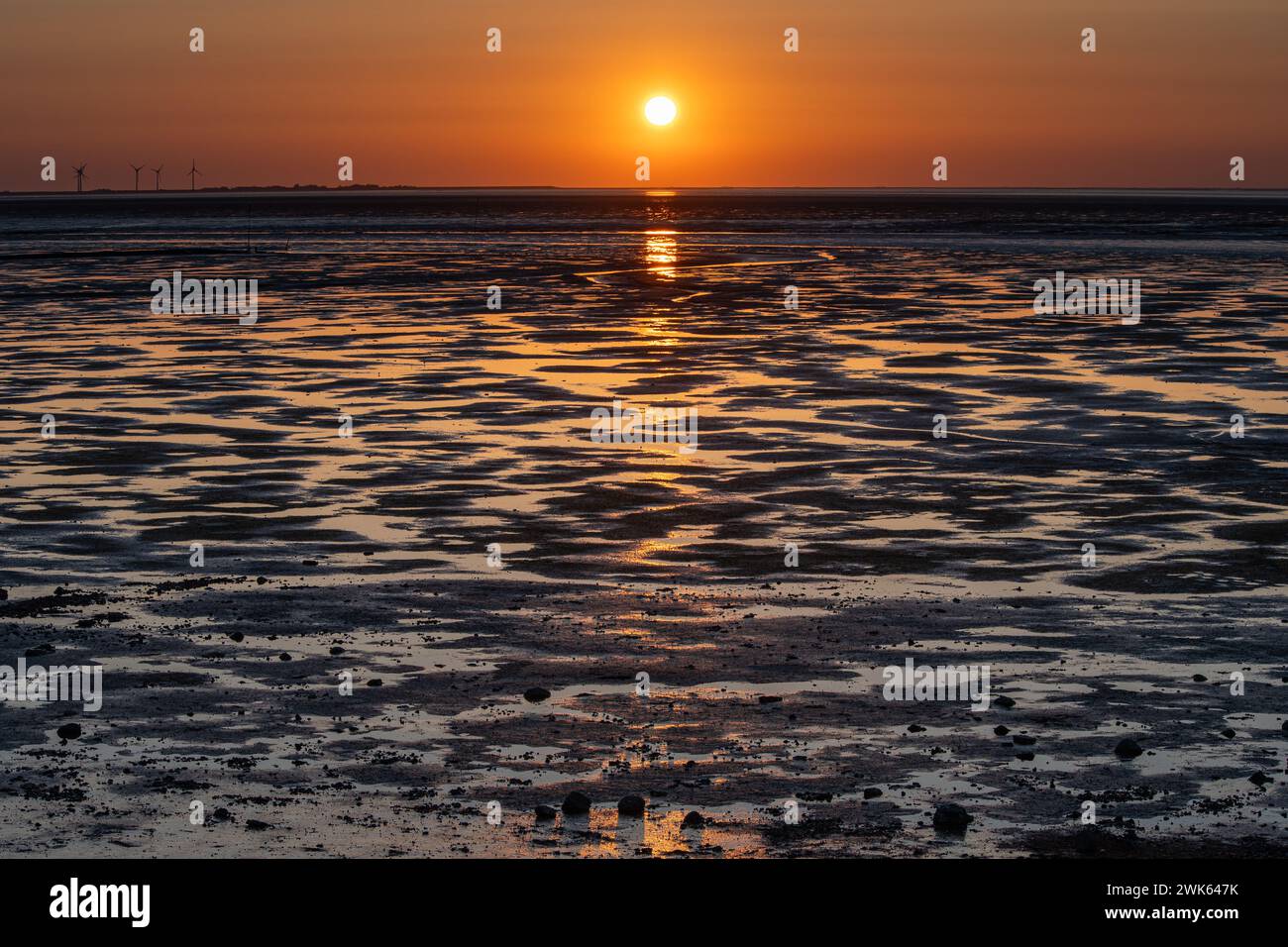 Tramonto con la bassa marea sulla penisola del Nordstrand con vista sull'Halligen Foto Stock