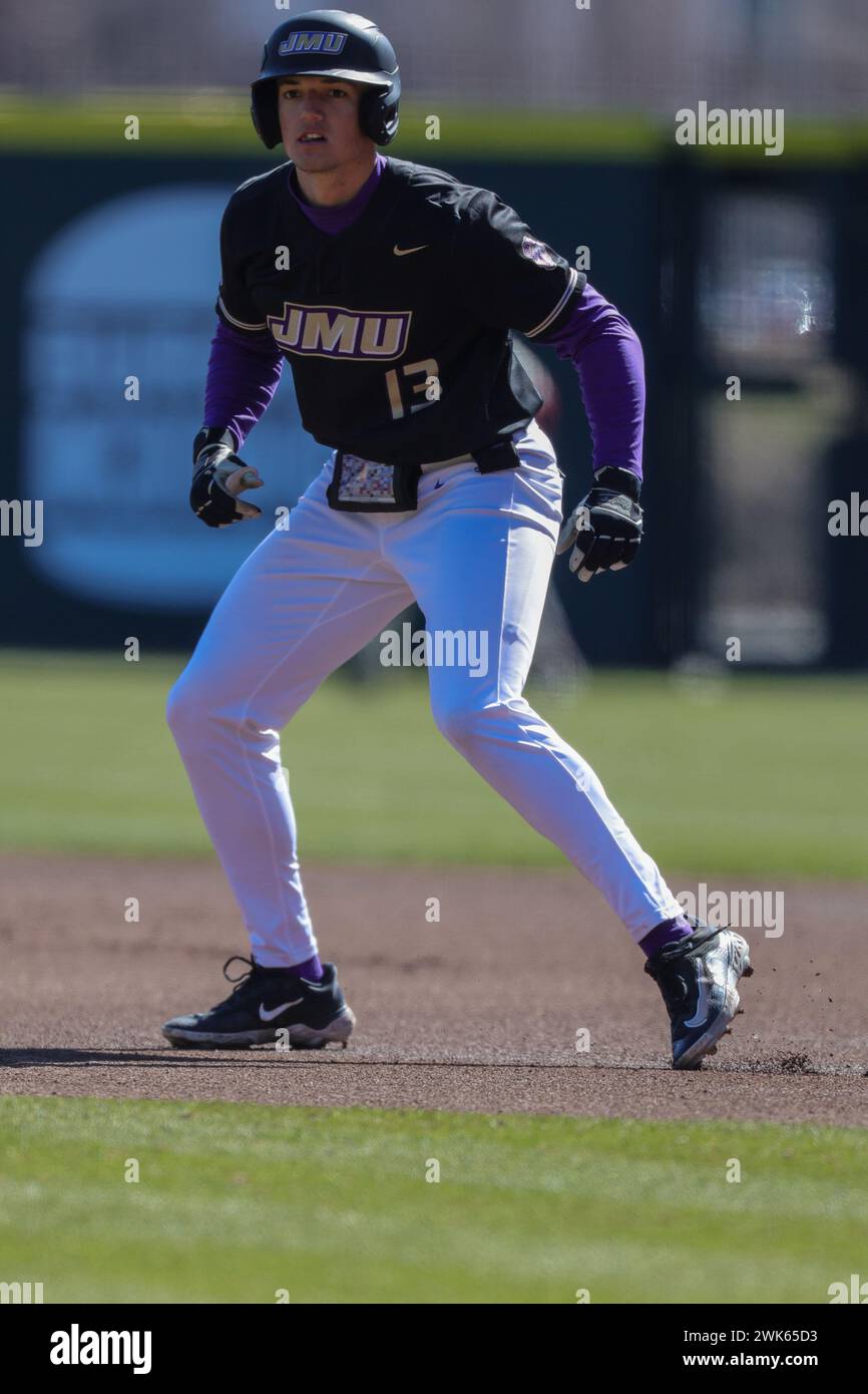 18 febbraio 2024: Fenwick Trimble #13 JMU, il corridore di base, cerca di estendere il suo vantaggio rispetto al primo. James Madison sconfisse Arkansas 7-3 a Fayetteville, AR. Richey Miller/CSM Foto Stock