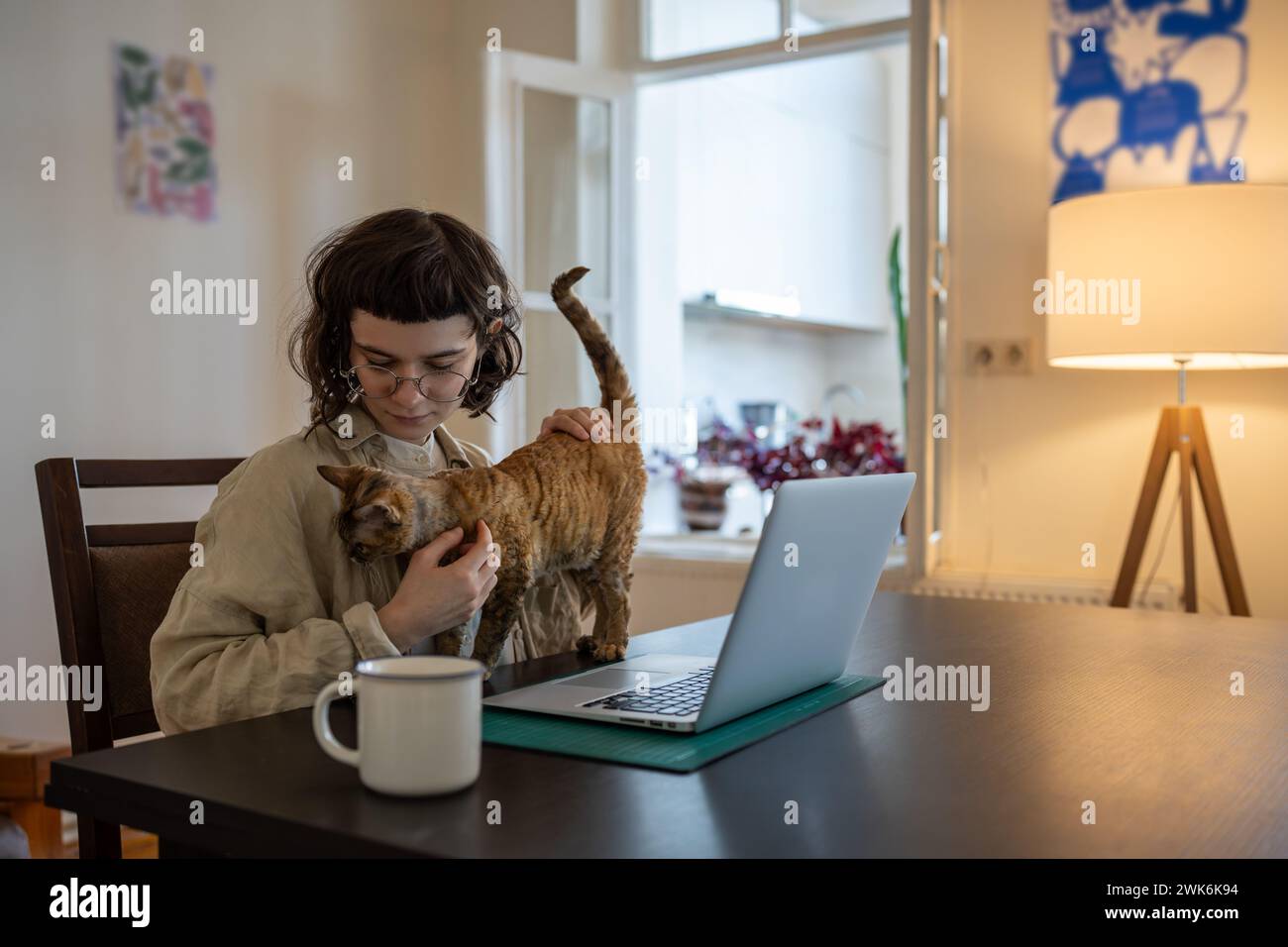 Una donna attenta al proprietario di un animale domestico che accarezza il gatto mentre siede con un computer portatile alla scrivania a casa, distragendosi dal lavoro. Foto Stock