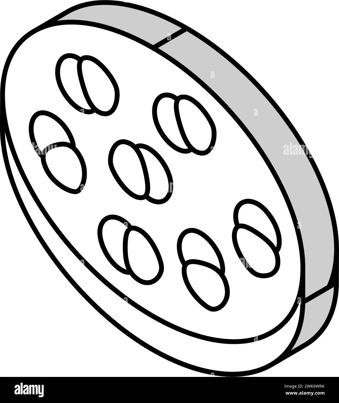 illustrazione vettoriale a icone isometriche per infezione da enterococco Illustrazione Vettoriale