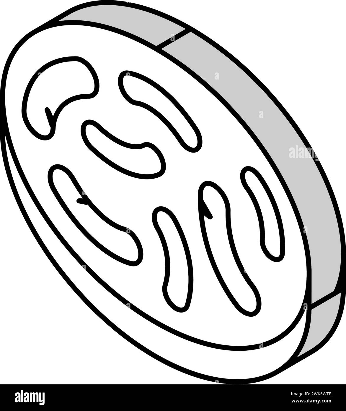illustrazione vettoriale dell'icona isometrica dei batteri intestinali Illustrazione Vettoriale