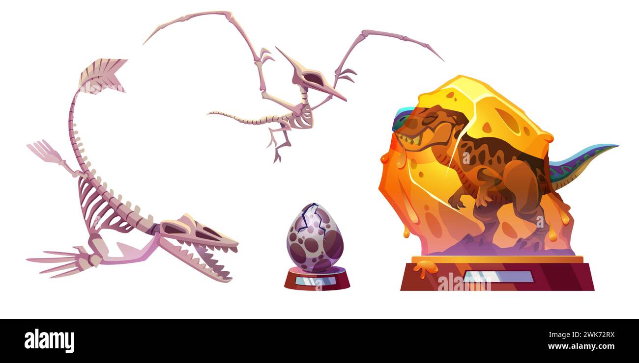 Mostre del museo archeologico della preistoria: Scheletri di dinosauro, animali ricreati e uova incrinate sul banco. Collezione di illustrazioni vettoriali di cartoni animati della mostra paleontologica ossa e manufatti di dinosauri Illustrazione Vettoriale