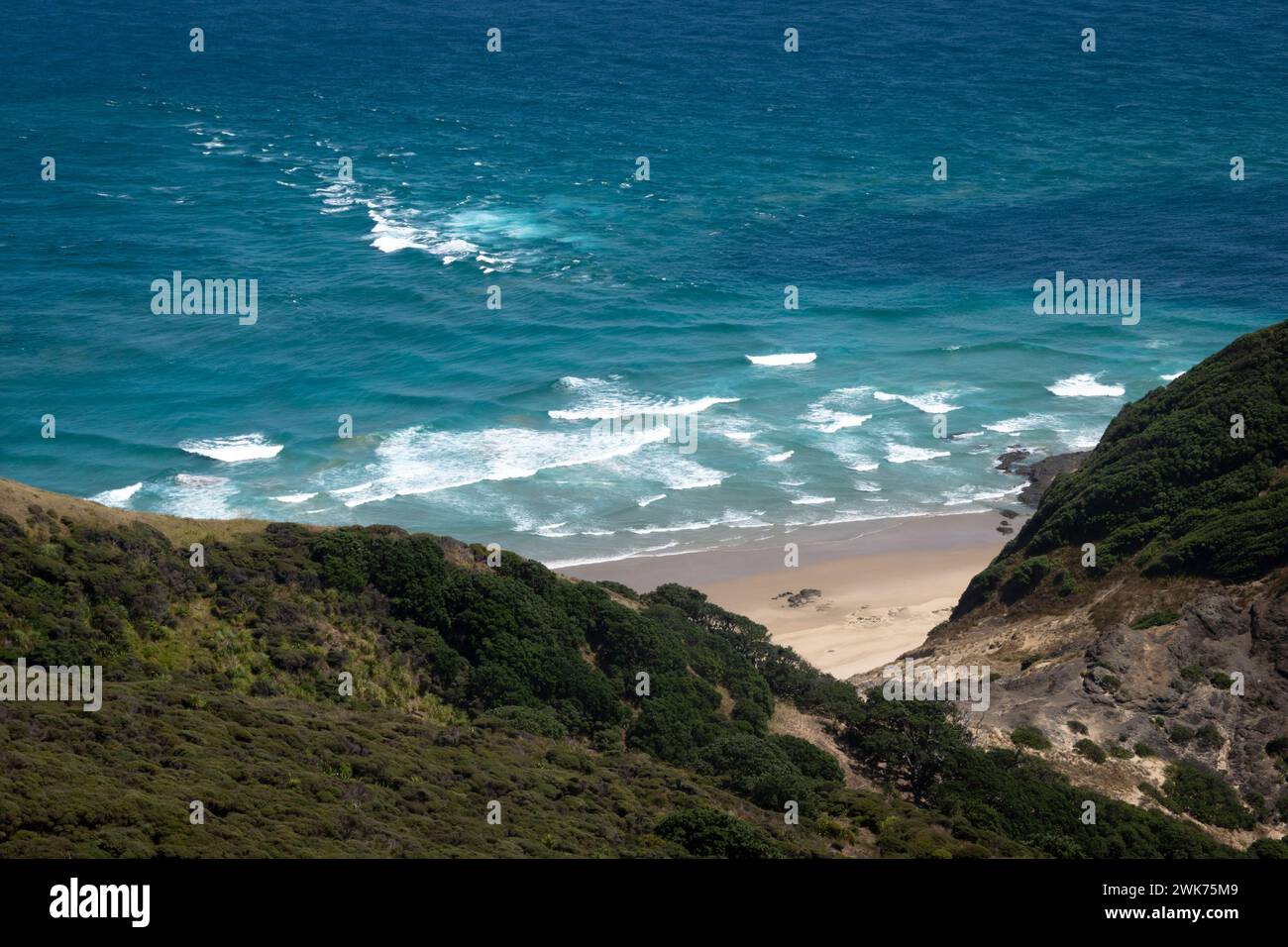 Spirits Bay, Capo Reinga, Northland, Isola del Nord, nuova Zelanda Foto Stock