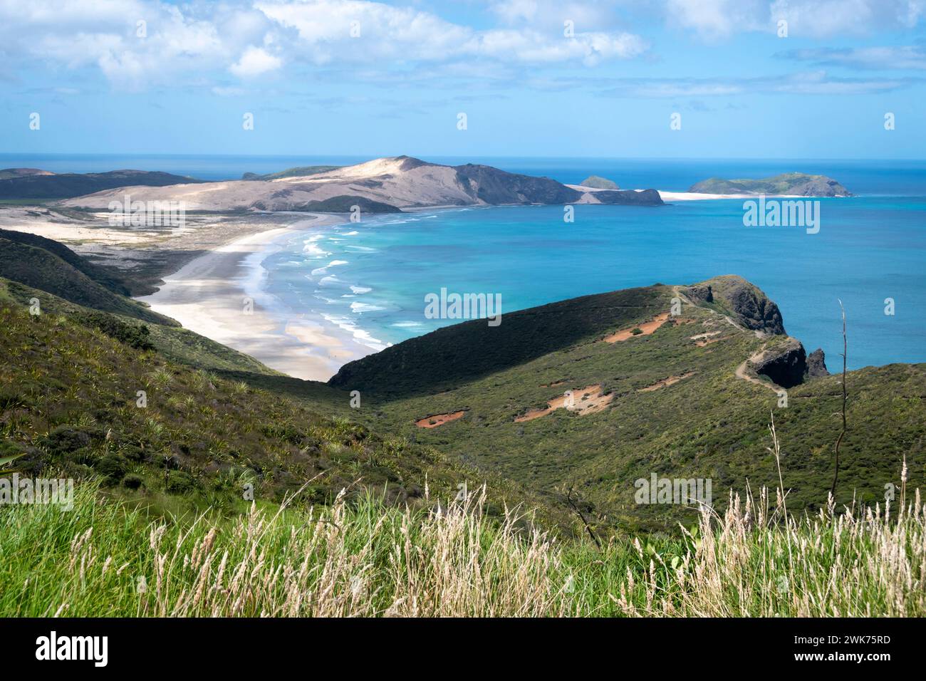 Capo Maria Van Diemen, Capo Reinga, Northland, Isola del Nord, nuova Zelanda Foto Stock
