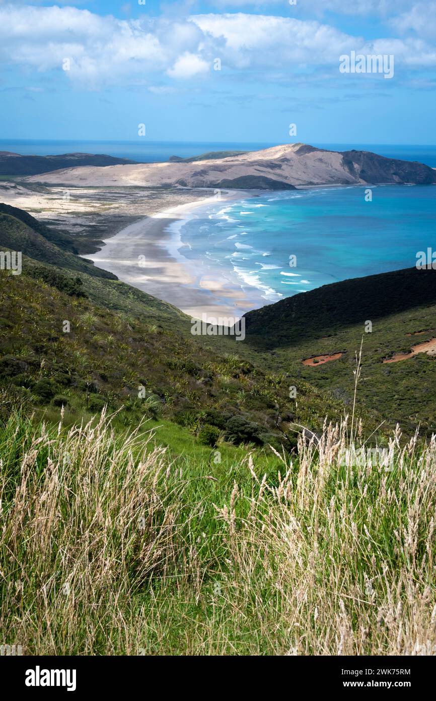 Capo Maria Van Diemen, Capo Reinga, Northland, Isola del Nord, nuova Zelanda Foto Stock