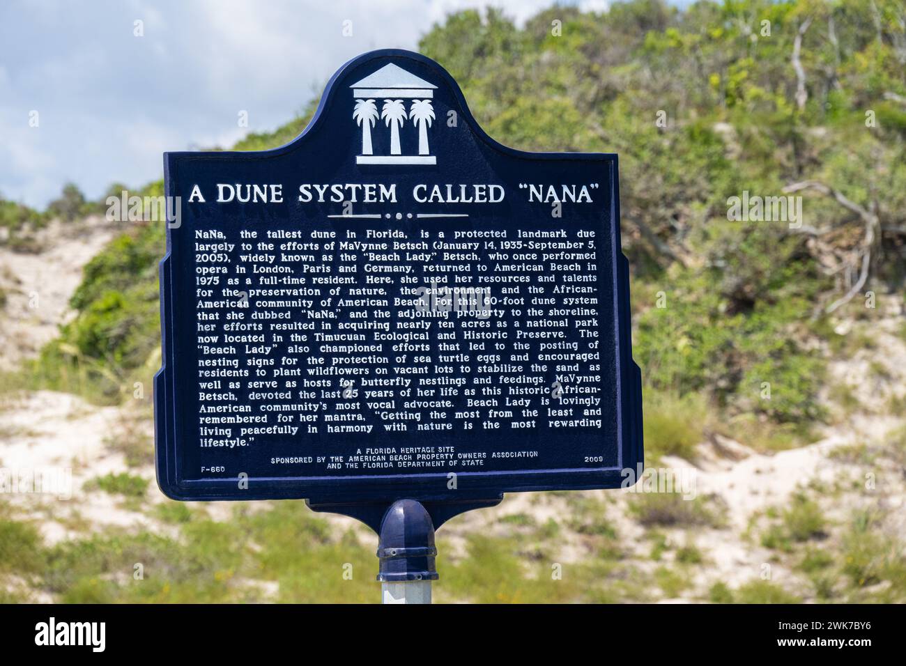 Un sistema di dune chiamato "Nana", la più grande duna dello stato della Florida, situata a American Beach sull'isola di Amelia. (USA) Foto Stock