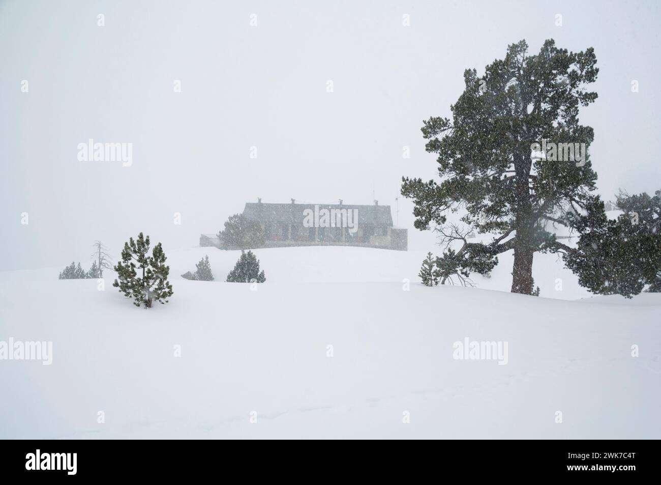 Dintorni del rifugio Amitges durante una nevicata in inverno. Parco naturale Aigüestortes i Estany de Sant Maurici, Lleida, Catalogna, Spagna, Pirenei Foto Stock