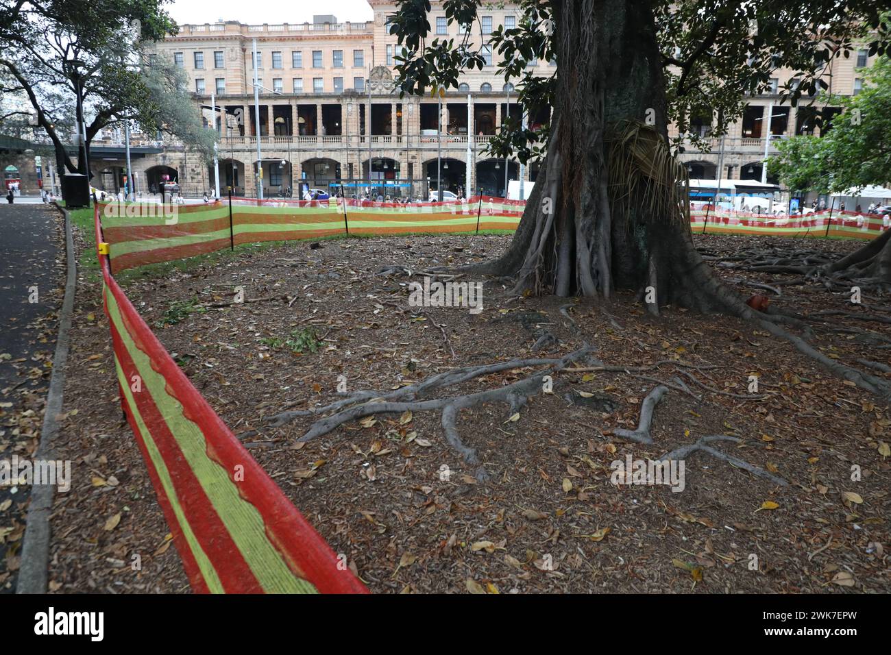 Sydney, Australia. 18 febbraio 2024. L'amianto è stato trovato nel pacciame in vari parchi intorno a Sydney. Nella foto è Belmore Park vicino alla stazione centrale. Parti del parco sono state recintate con cartelli che segnalano la contaminazione da amianto. Crediti: Richard Milnes/Alamy Live News Foto Stock