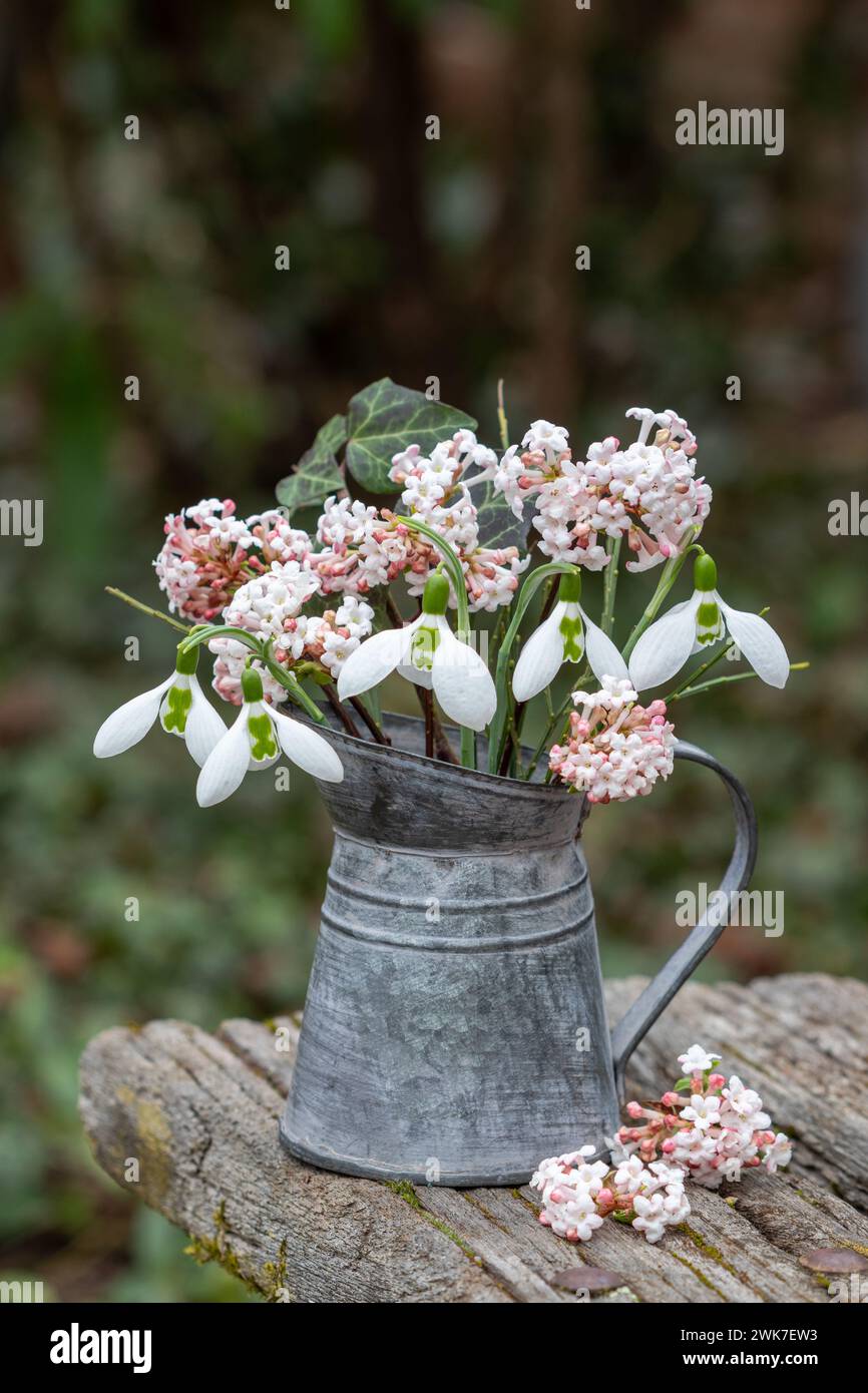 bouquet di gocce di neve e fiori di viburno profumato in brocca vintage in giardino Foto Stock