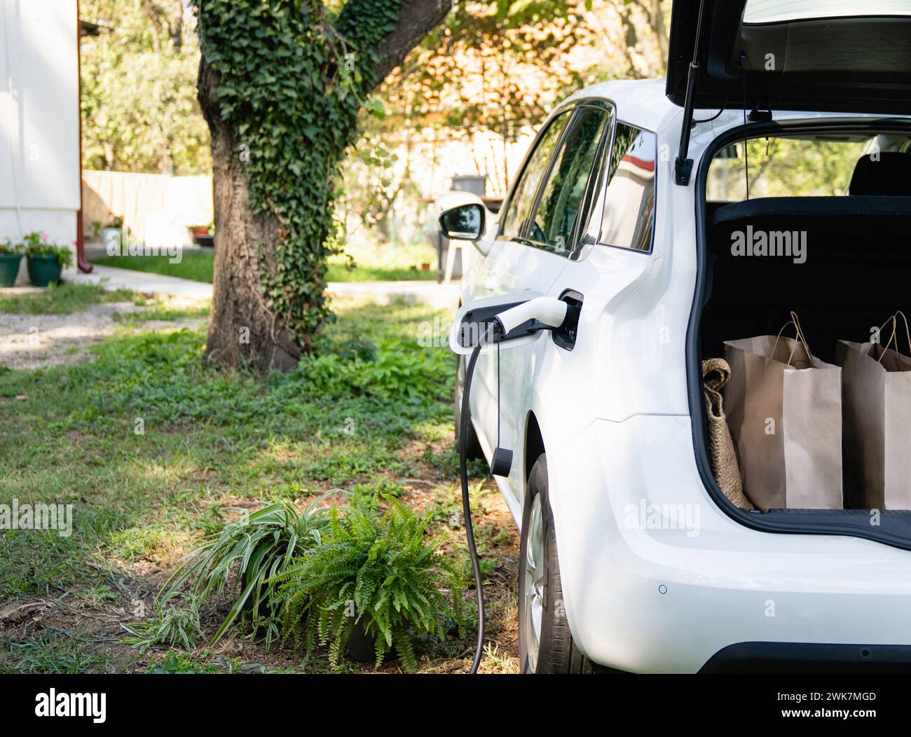 Uomo con una borsa per la spesa vicino a un'auto elettrica di ricarica nel cortile di una casa di campagna. Foto Stock