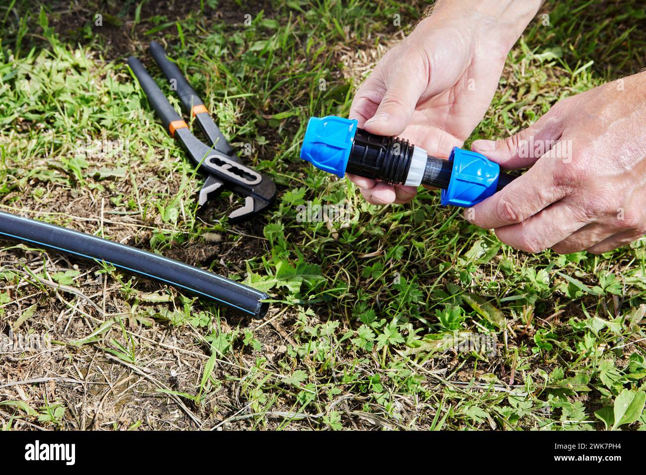 Installazione dell'alimentazione dell'acqua di irrigazione mediante raccordo di accoppiamento a compressione con morsetto a pinza. Foto Stock