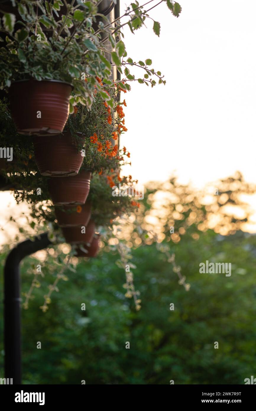 Portico di una casa di legno nella foresta sulla riva del fiume. Foto Stock