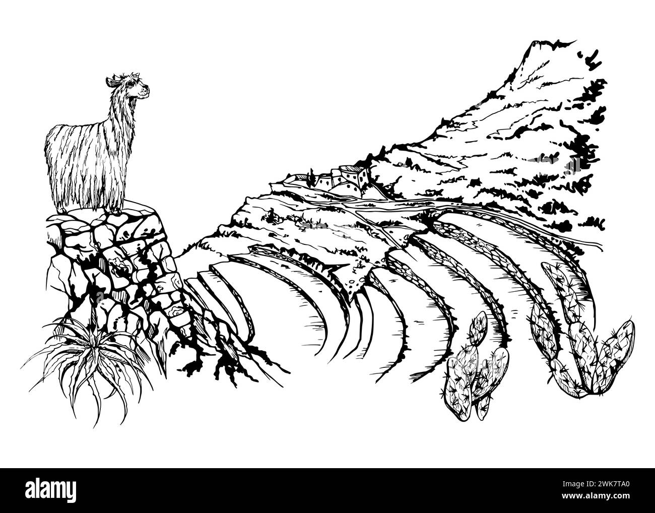 Illustrazione vettoriale a inchiostro disegnata a mano, paesaggio di montagna Centro-Sud America, piano collinare, terrazze Machu Picchu. Isolato su sfondo bianco Illustrazione Vettoriale