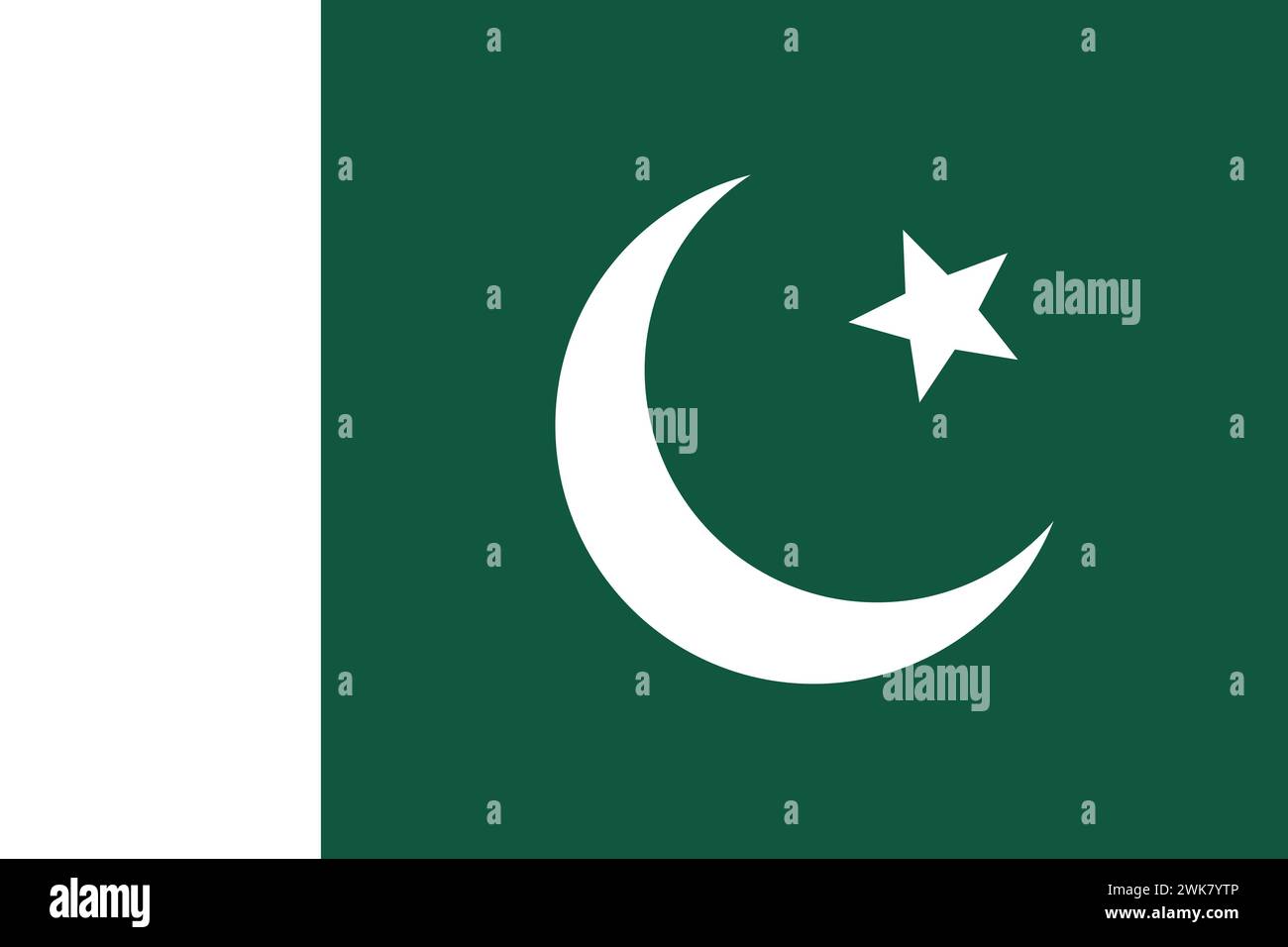Paesi, culture e viaggi: La bandiera del Pakistan Illustrazione Vettoriale