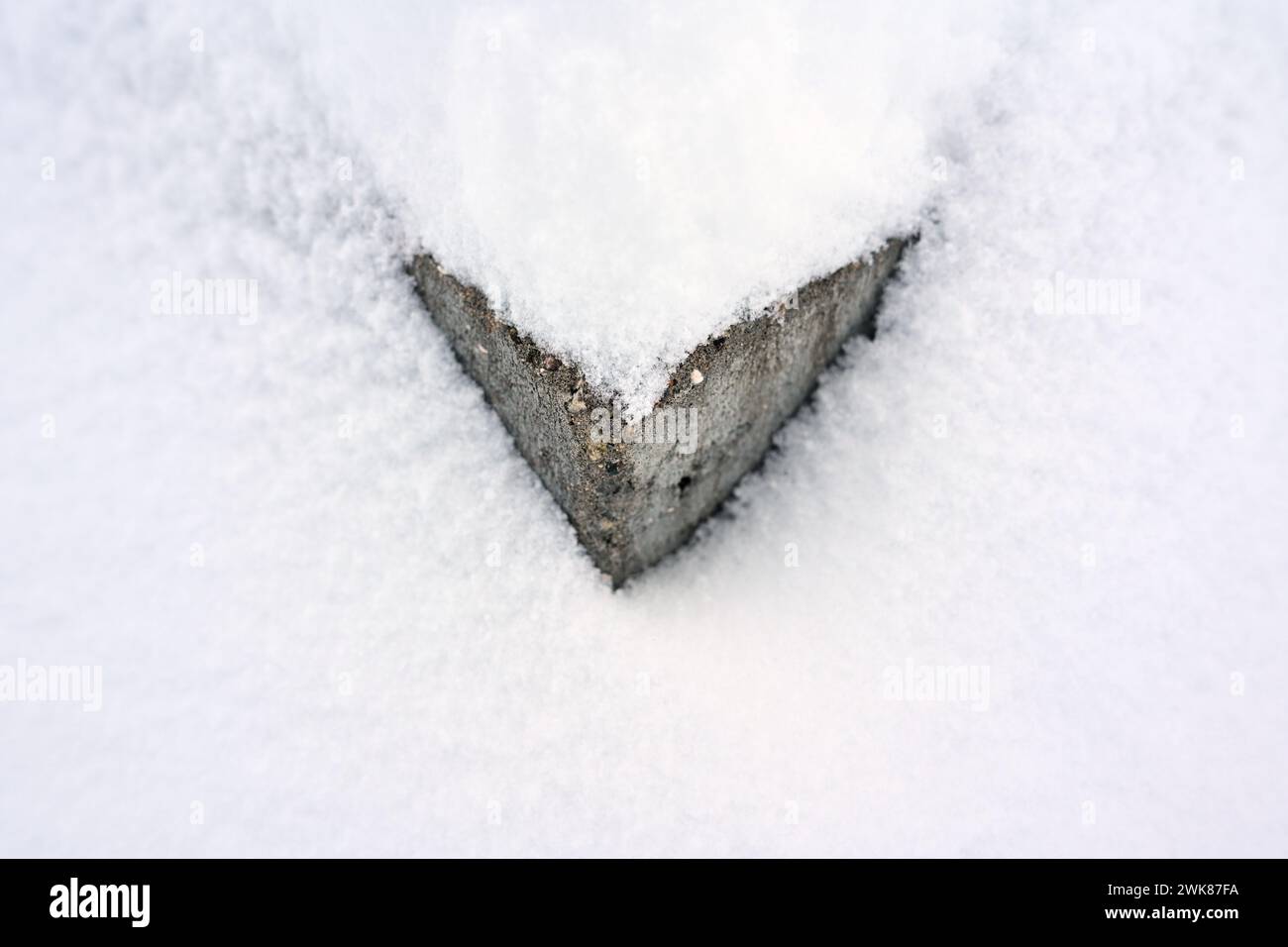 Albero innevato e marciapiede in cemento Foto Stock